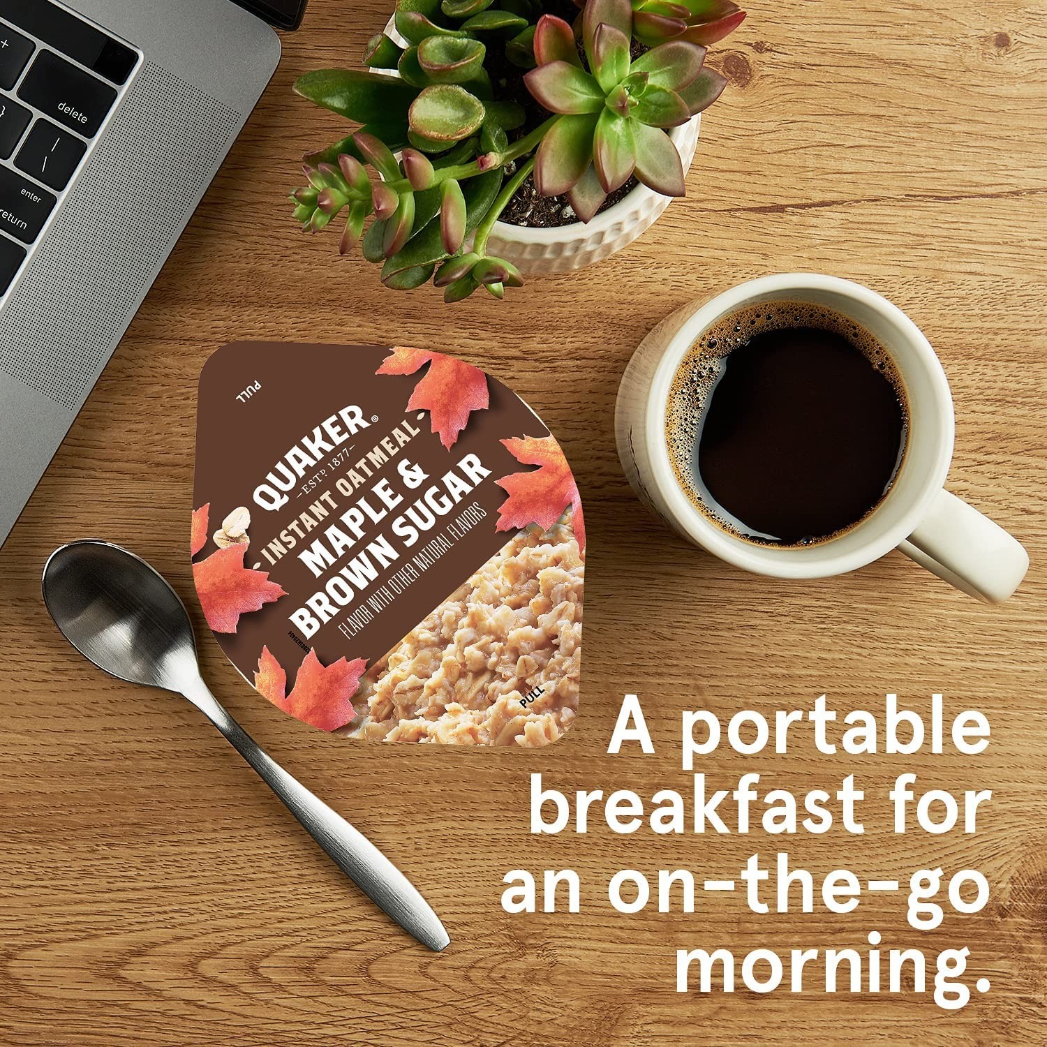 Ready-to-Enjoy Instant Oatmeal Cups – 4 Flavors, 12 Cups for Breakfast Anytime