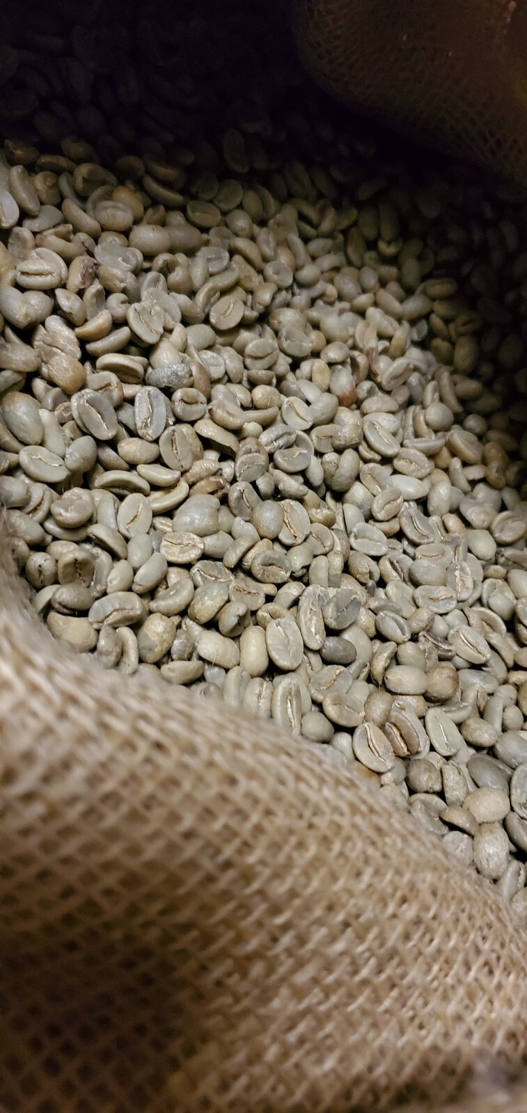 5 LBS PAPUA NEW GUINEA UNROASTED GREEN COFFEE BEANS – ARABICA