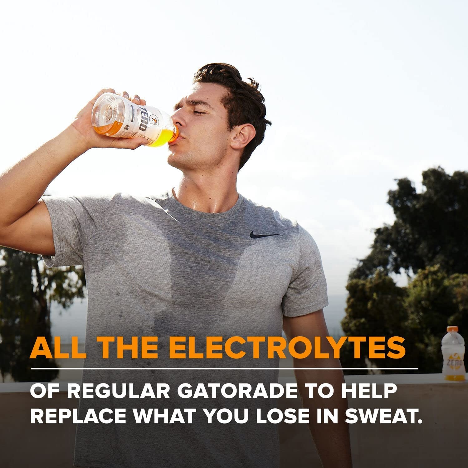 Gatorade Zero Sugar Glacier Freeze 12oz Sports Drink Bottles 12 Count