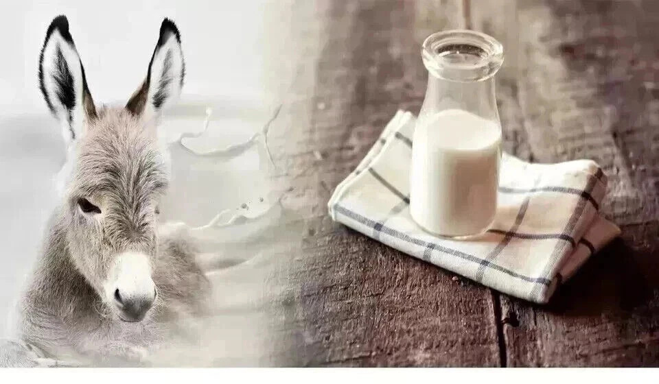DONKEY MILK POWDER GLUTEN FREE NO ADDITIVES (50GM to 1000GM)