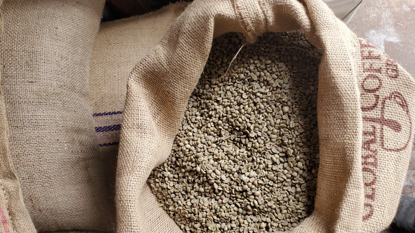 5 LBS HONDURAS HONDURAN FRESH UNROASTED GREEN COFFEE BEANS – ORGANIC ARABICA
