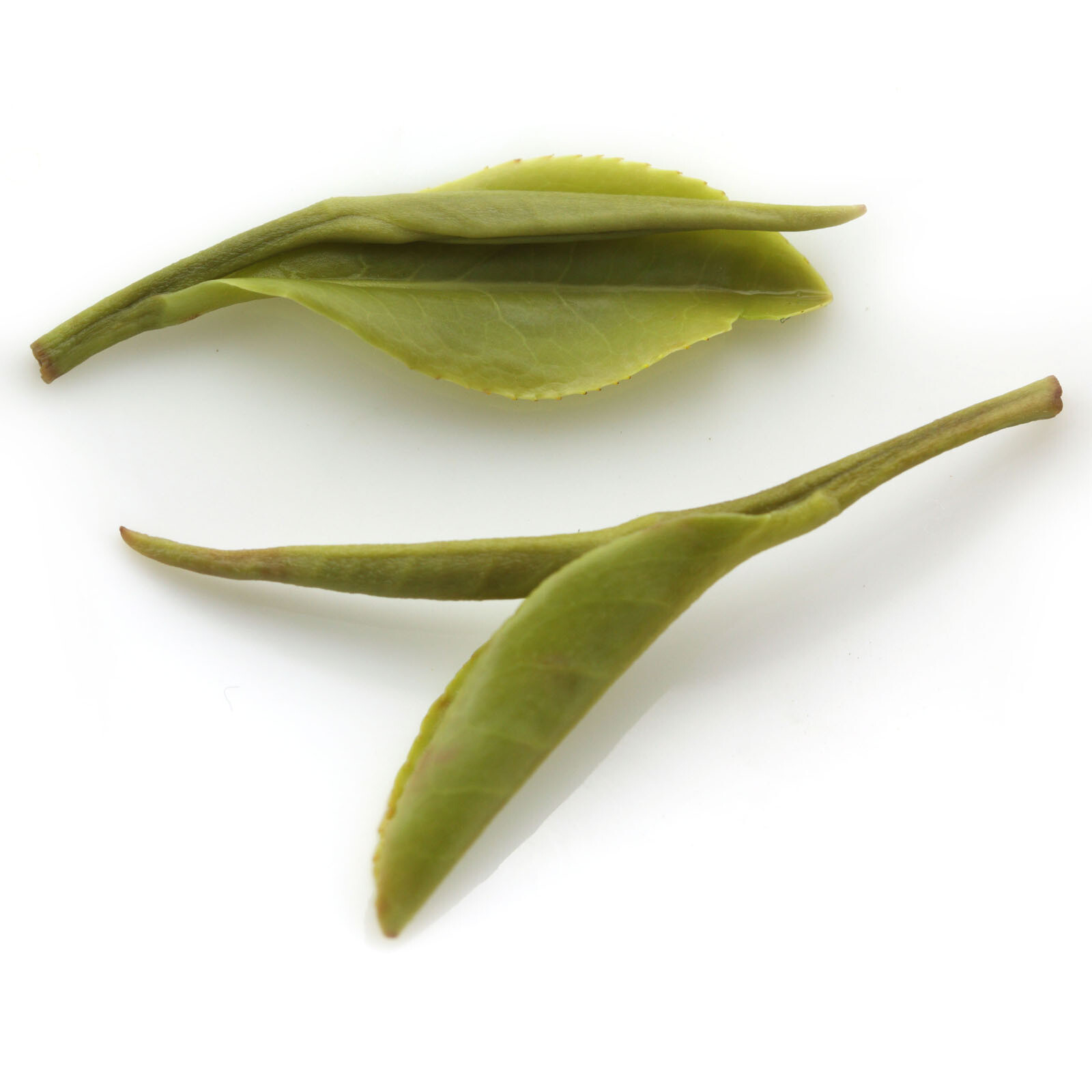 GOARTEA Supreme Huangshan Maofeng GREEN TEA Chinese Yellow Mountain Mao Feng