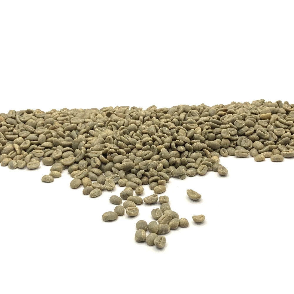 1 LB HIGH ALTITUDE PERUVIAN PERU UNROASTED GREEN COFFEE BEANS – ORGANIC ARABICA