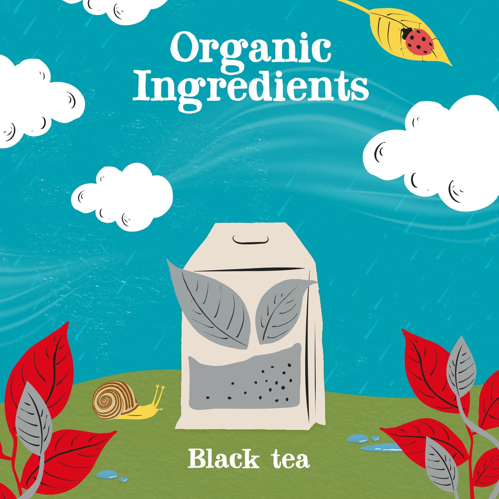 Clipper Tea, English Breakfast Assam Blend, Fairtrade, Organic, Plant-Based