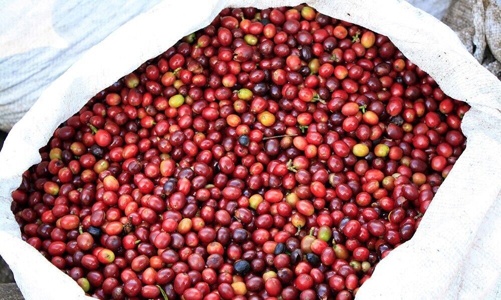 ITALIAN ESPRESSO COFFEE BEANS DARK ROASTED DAILY 2 POUNDS