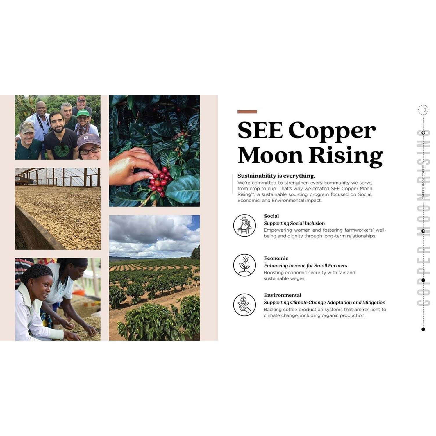 Copper Moon World Coffee Hawaiian Hazelnut Ground Medium Roast 2.5 lbs (40 oz)