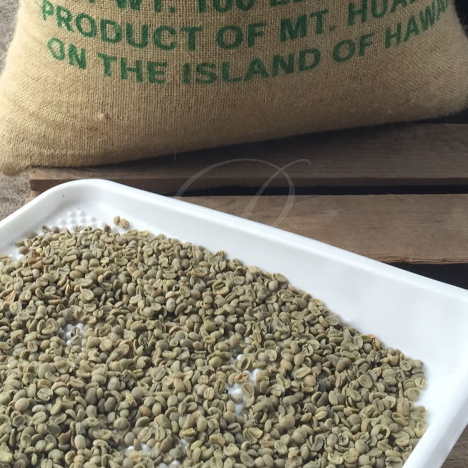 100% Hawaiian Kona Coffee, Genuine Extra Fancy, Fresh Roasted • 1 lb Burlap Bag