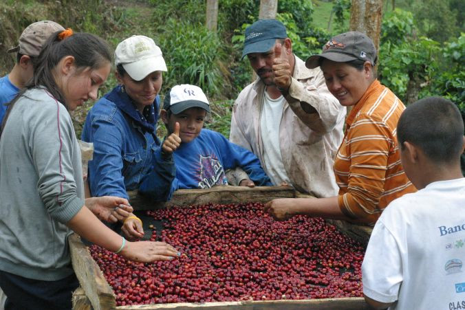 Guatemalan Huehuetenango Coffee Beans Dark Roasted Fresh Beans 5lb | 2026 Crop