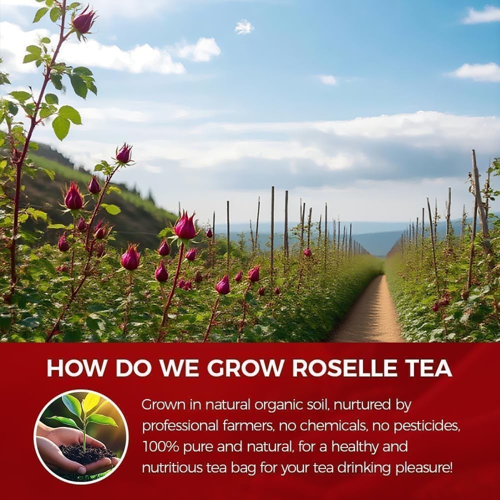 Premium 80 Hibiscus Flower Tea Bags (Flor De Jamaica) – 100% Natural, Tart & Ref