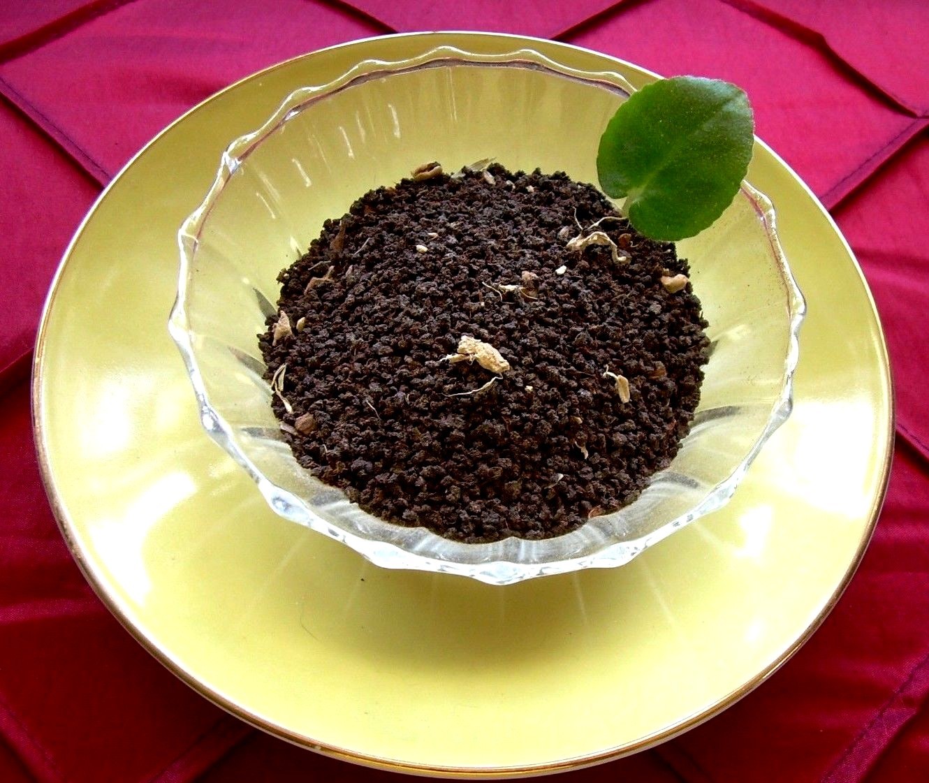 Gourmet Tea Masala Chai Blend India & Kenya Origin Perfect Spiced Flavor Profile