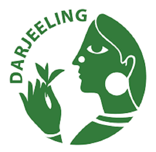 Darjeeling Tea (SECOND FLUSH 2023) BALASUN SFTGFOP I MUSK 500 gms