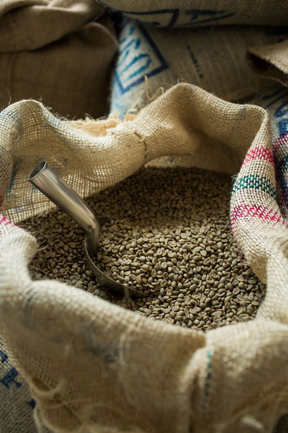 2 POUNDS green coffee beans – your choice of beans – MANY to choose from