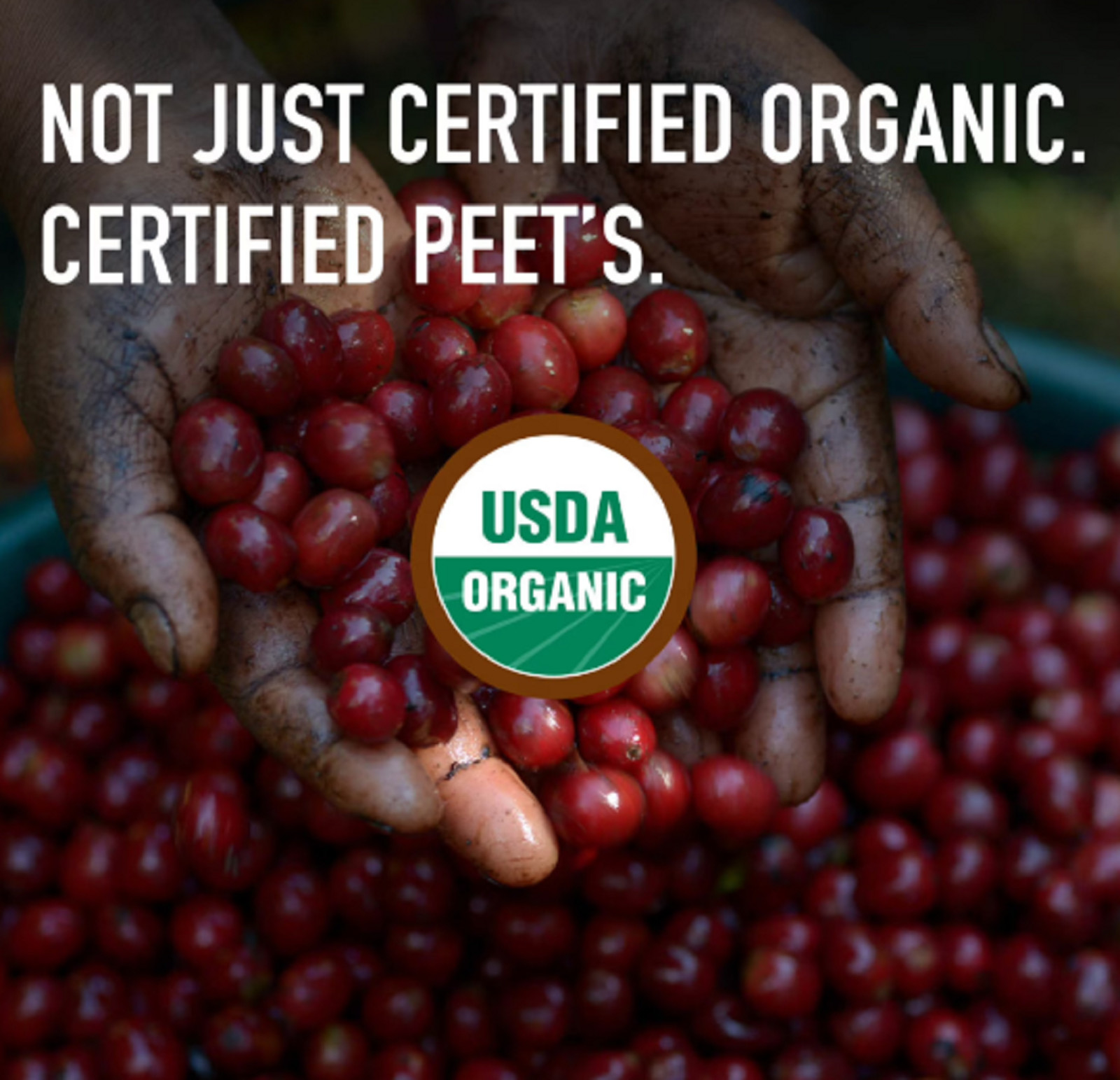 Peet’s Coffee USDA Organic French Roast Premium Dark Roast Ground Coffee,Arabica