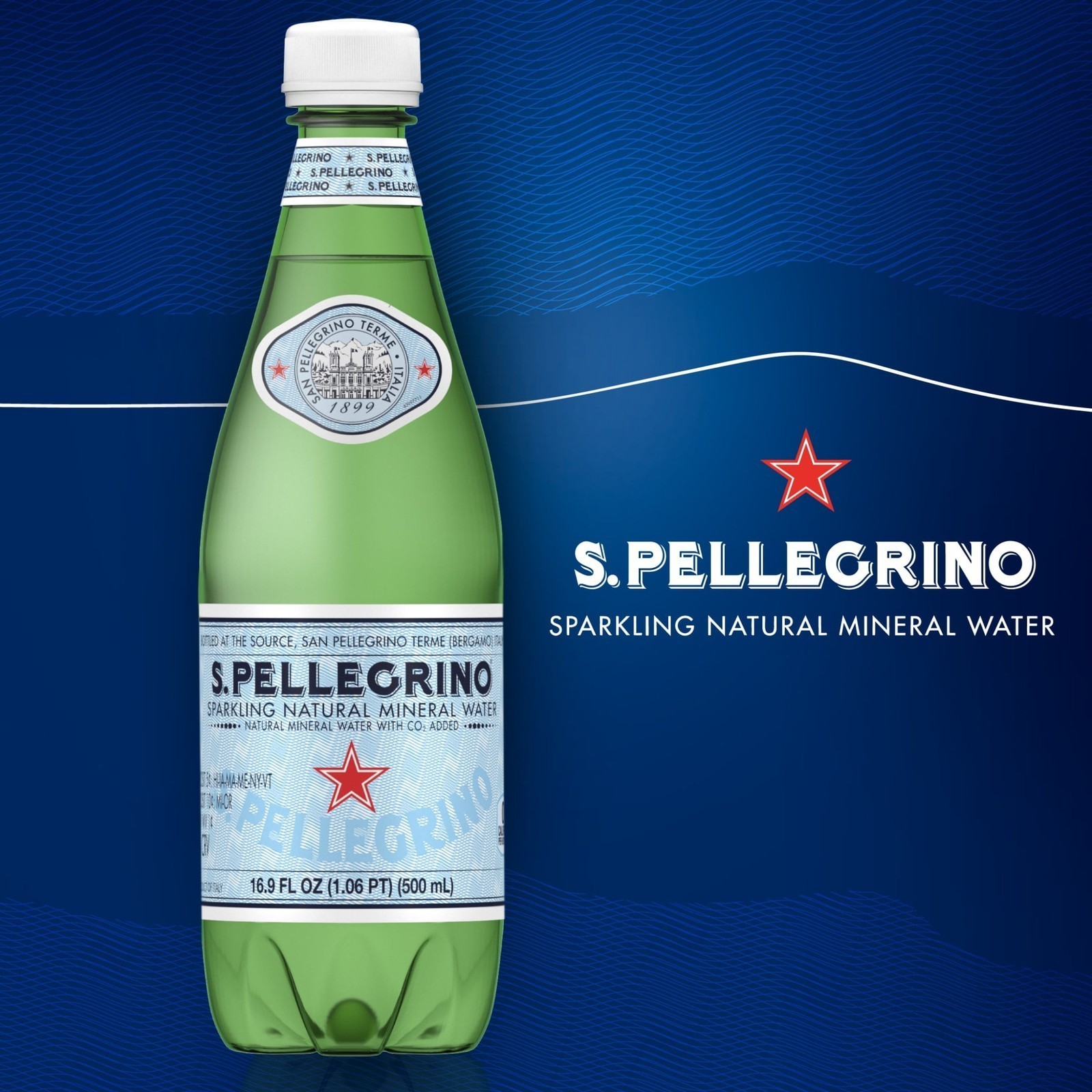 Sparkling Natural Unflavored Bottled Mineral Water, 16.9 fl oz Each, 12 Bottles