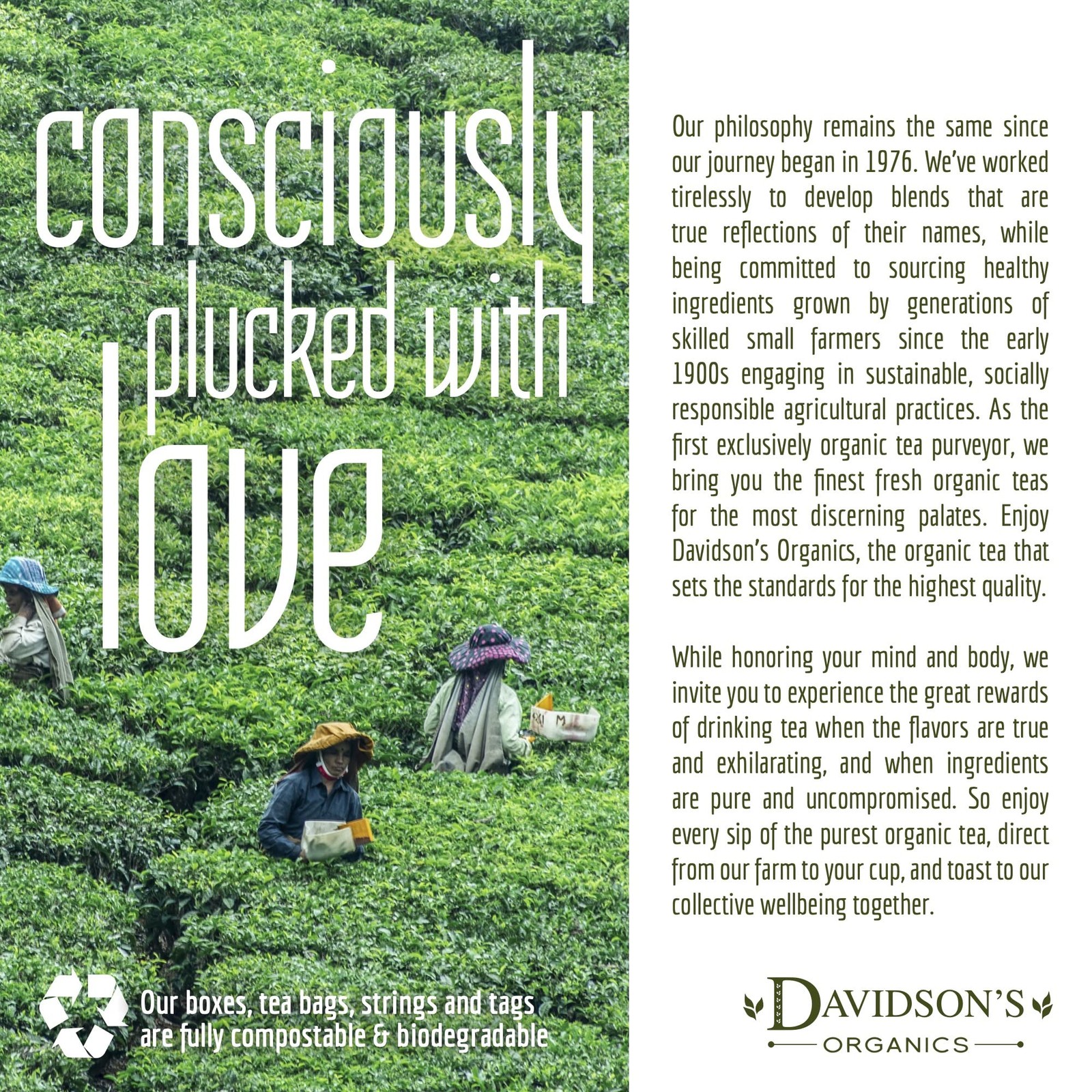 Davidson’s Tea Bulk, Earl Grey, 16-Ounce Bag