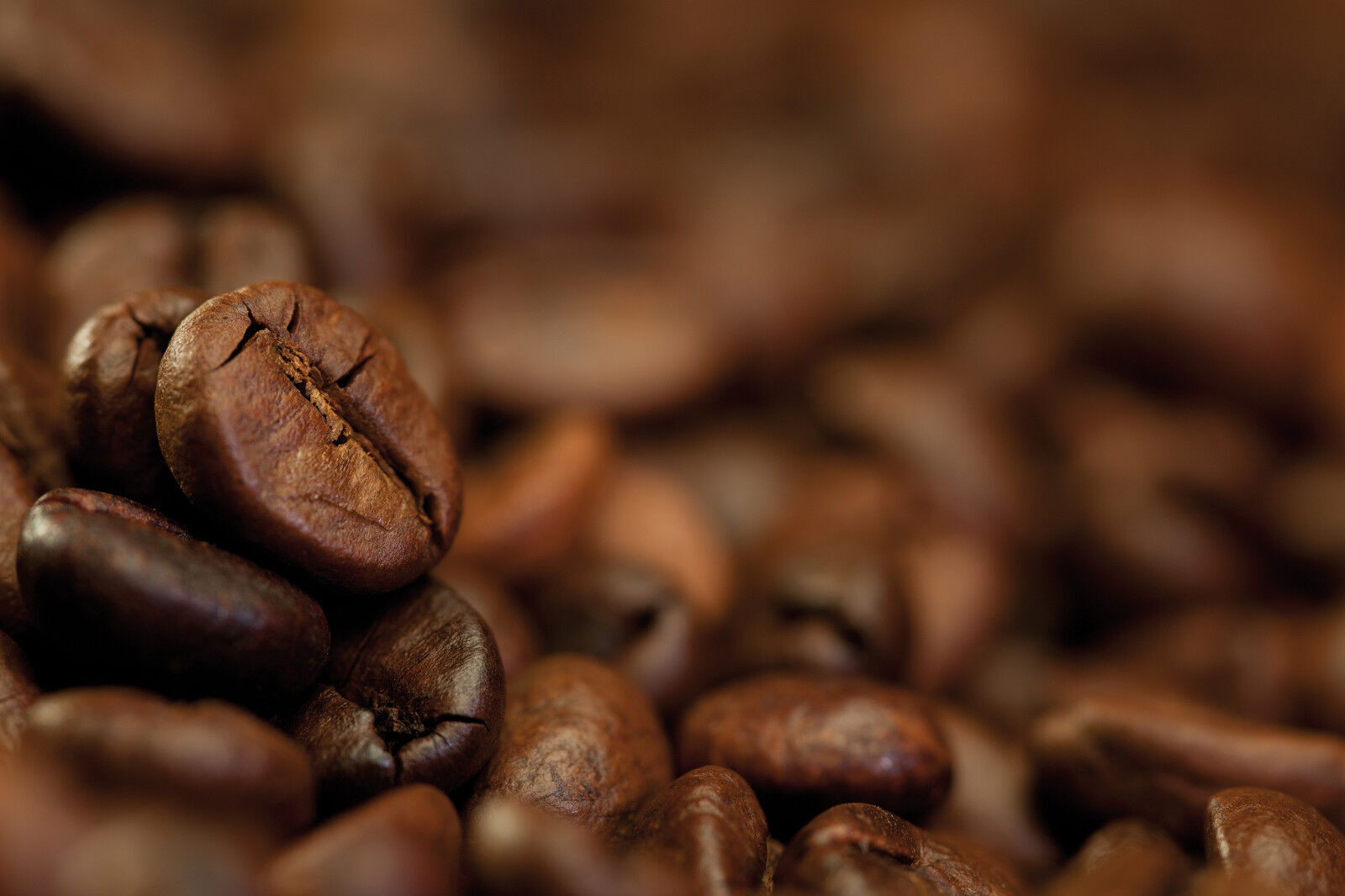 Extra Fancy Kona Coffee Beans Medium Roast 1 or 2 lbs Fresh Roast to Order