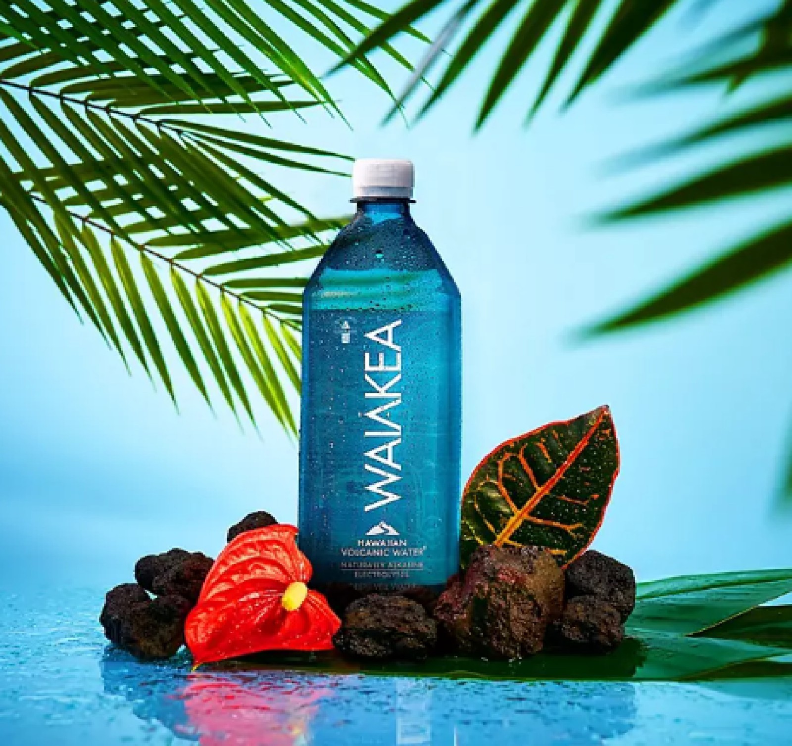 Waiakea Hawaiian Volcanic Water 1 L., 12 pk.