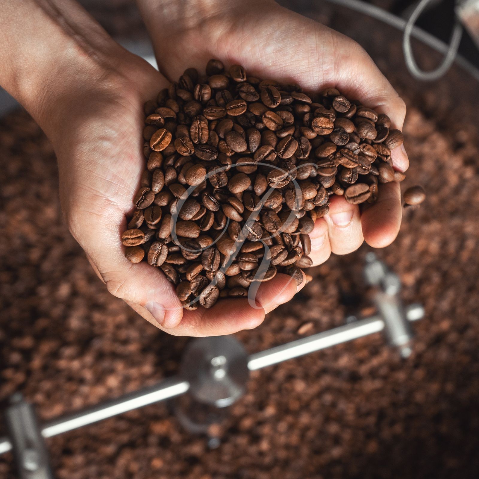St. Helena Coffee Beans 1 lb • Roasted to Order • Rare Luxury Island Coffee!