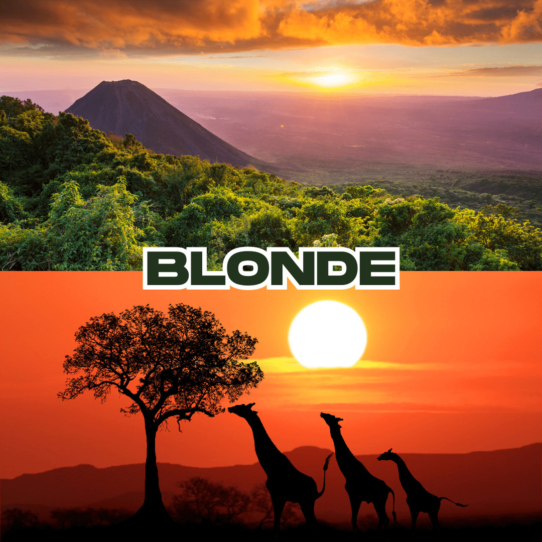 Blonde