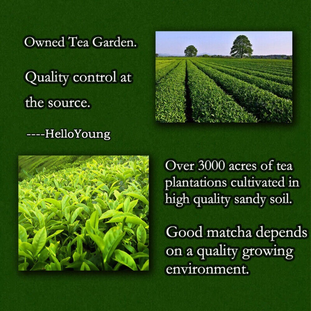 Organic Ceremonial Grade Matcha Powder 250g Green Tea Latte Morning Drink