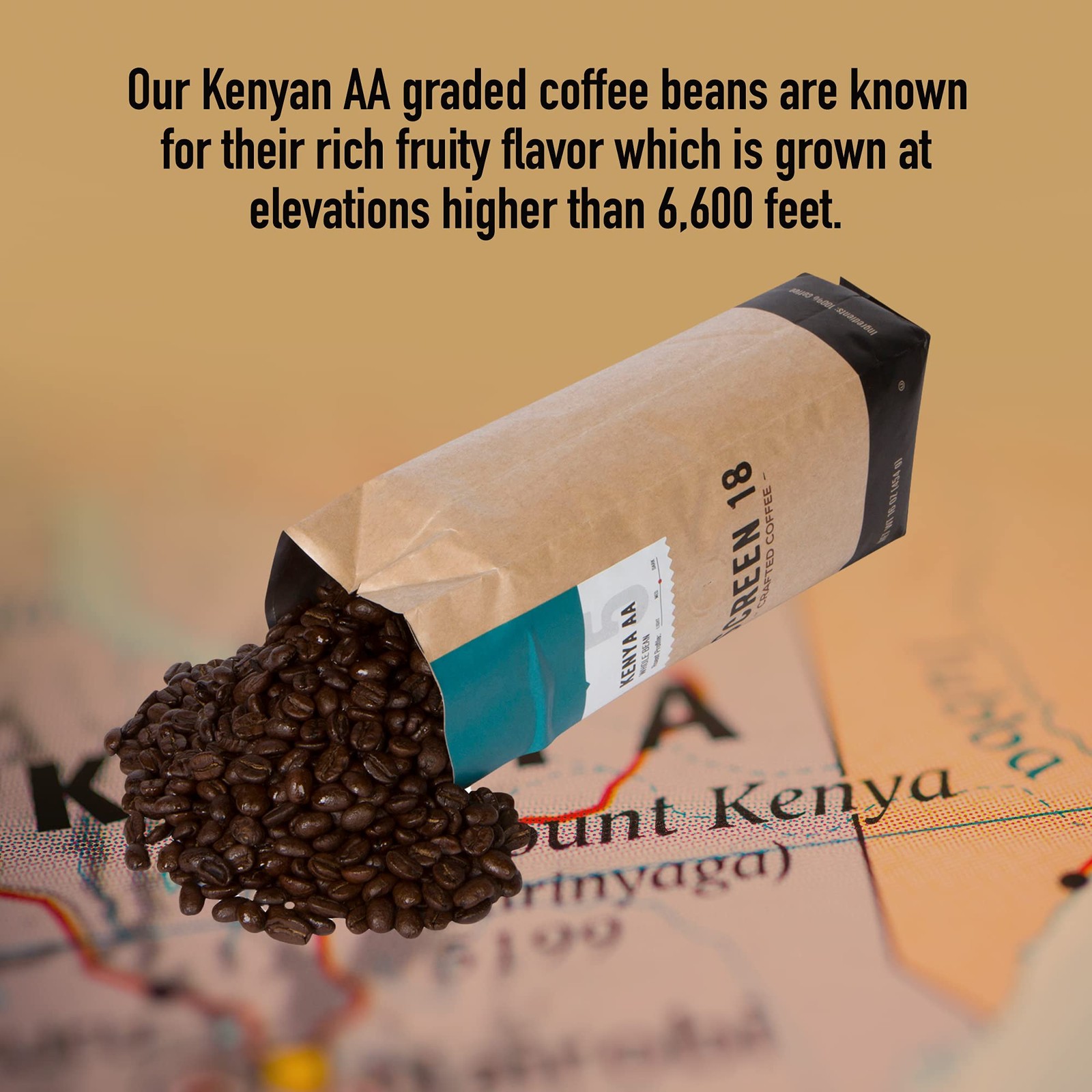 Screen 18 Kenya AA Whole Bean Coffee, Single Origin, Med-Dark Roast, 1 Lb
