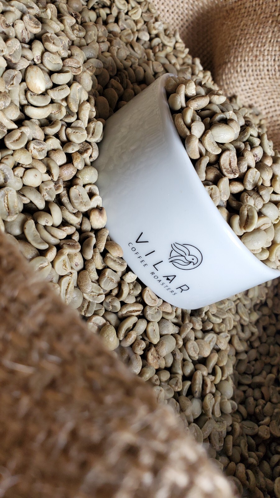 5 LBS HONDURAS HONDURAN FRESH UNROASTED GREEN COFFEE BEANS – ORGANIC ARABICA
