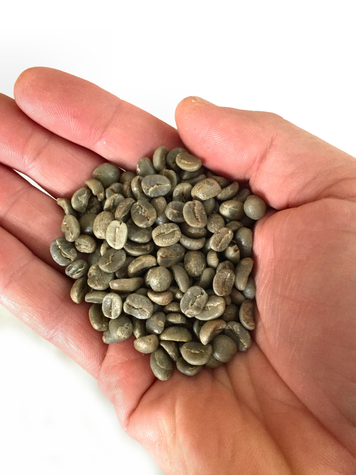 5 lbs Green Coffee – Nicaragua Jinotega green coffee – chocolate, floral, berry