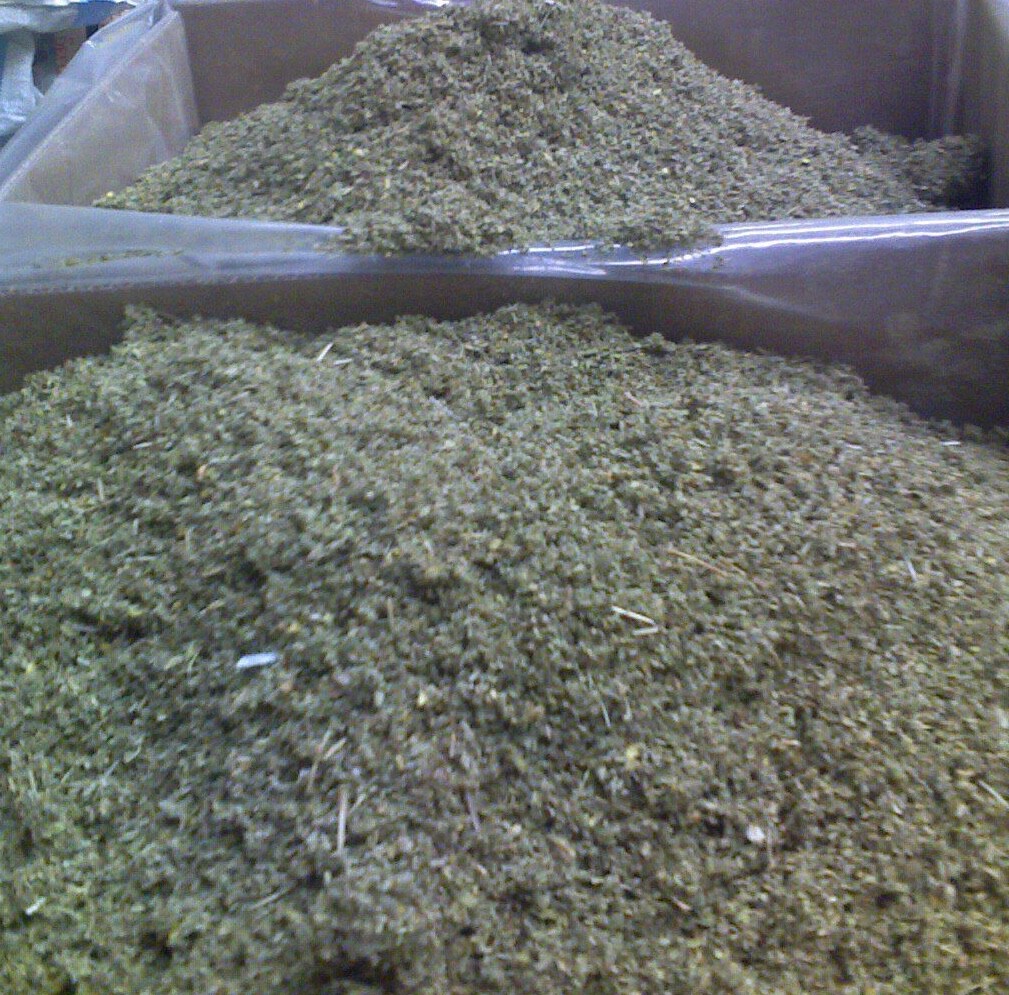 DAMIANA herb tea bulk leaf c/s cut organic tea brew wild crafted WHOLESALE