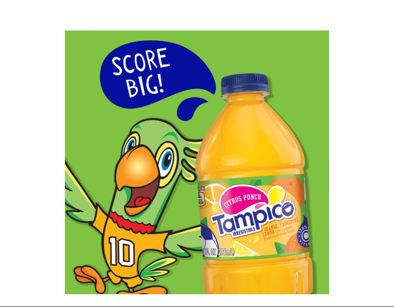 Tampico Citrus Punch Orange Tangerine Lemon Juice Drink 10 fl oz 15 Pack