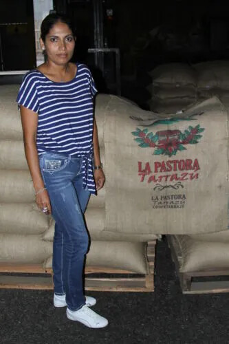Panama Geisha Coffee Beans Medium Roasted 6 Pounds
