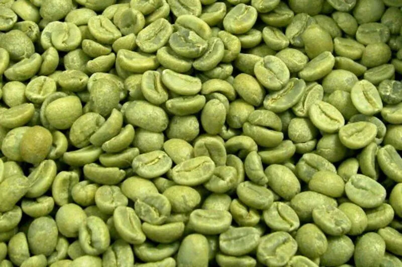 UNROASTED GREEN 100% JAMAICAN BLUE MOUNTAIN COFFEE BEANS – 5 POUNDS