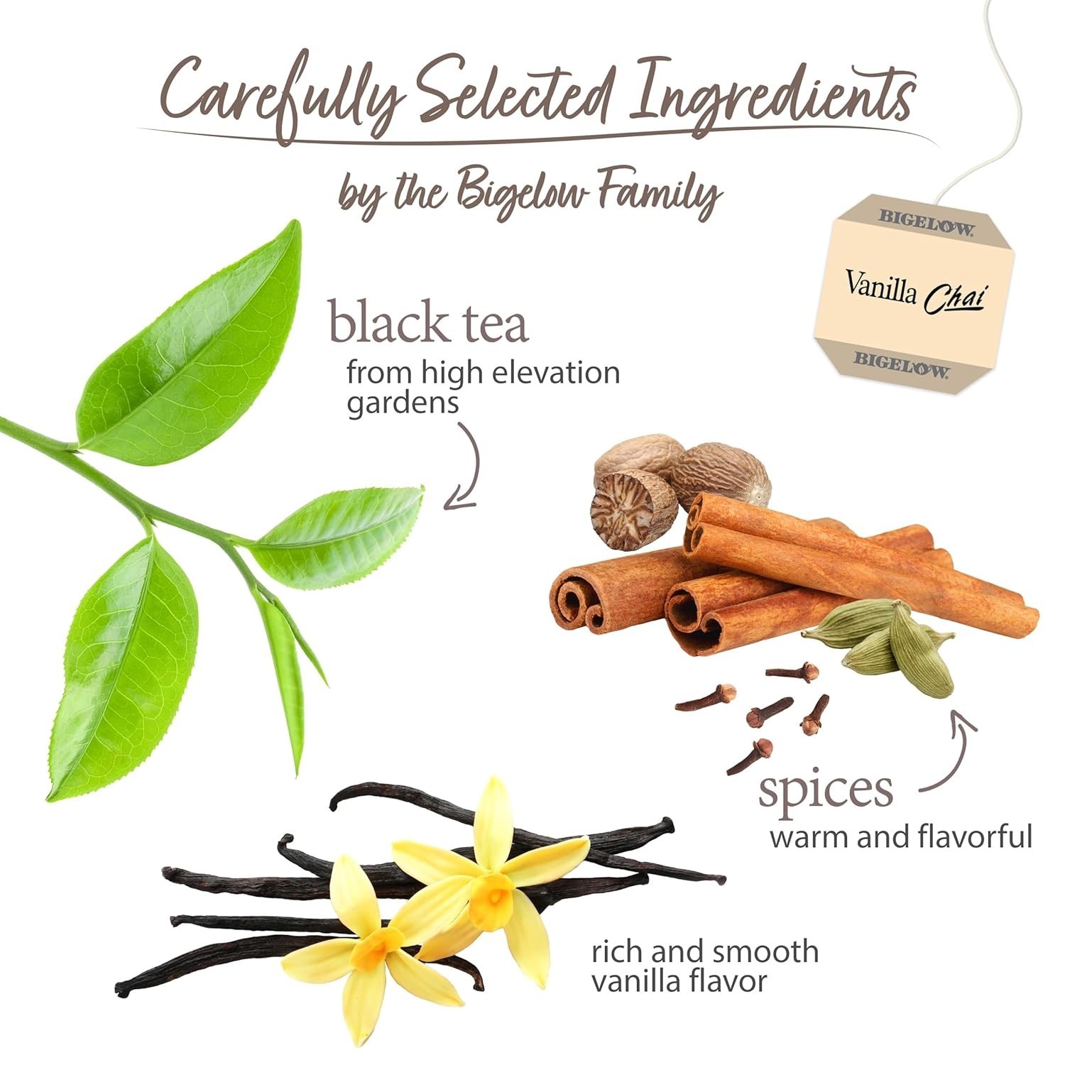 Chai Indulgence: Bigelow Vanilla Chai Black Tea 120 Count for A Treat Anytime
