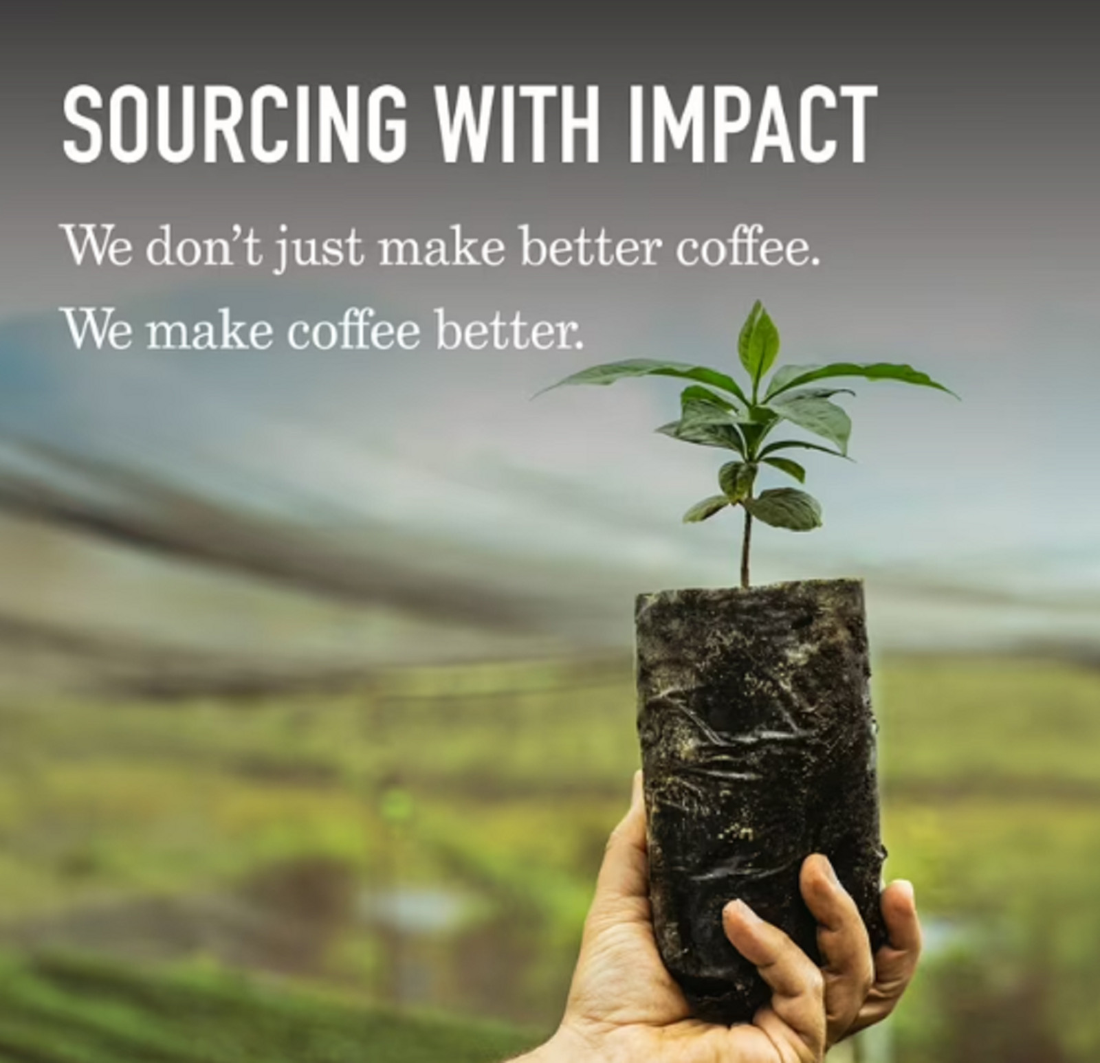 Peet’s Coffee USDA Organic French Roast Premium Dark Roast Ground Coffee,Arabica