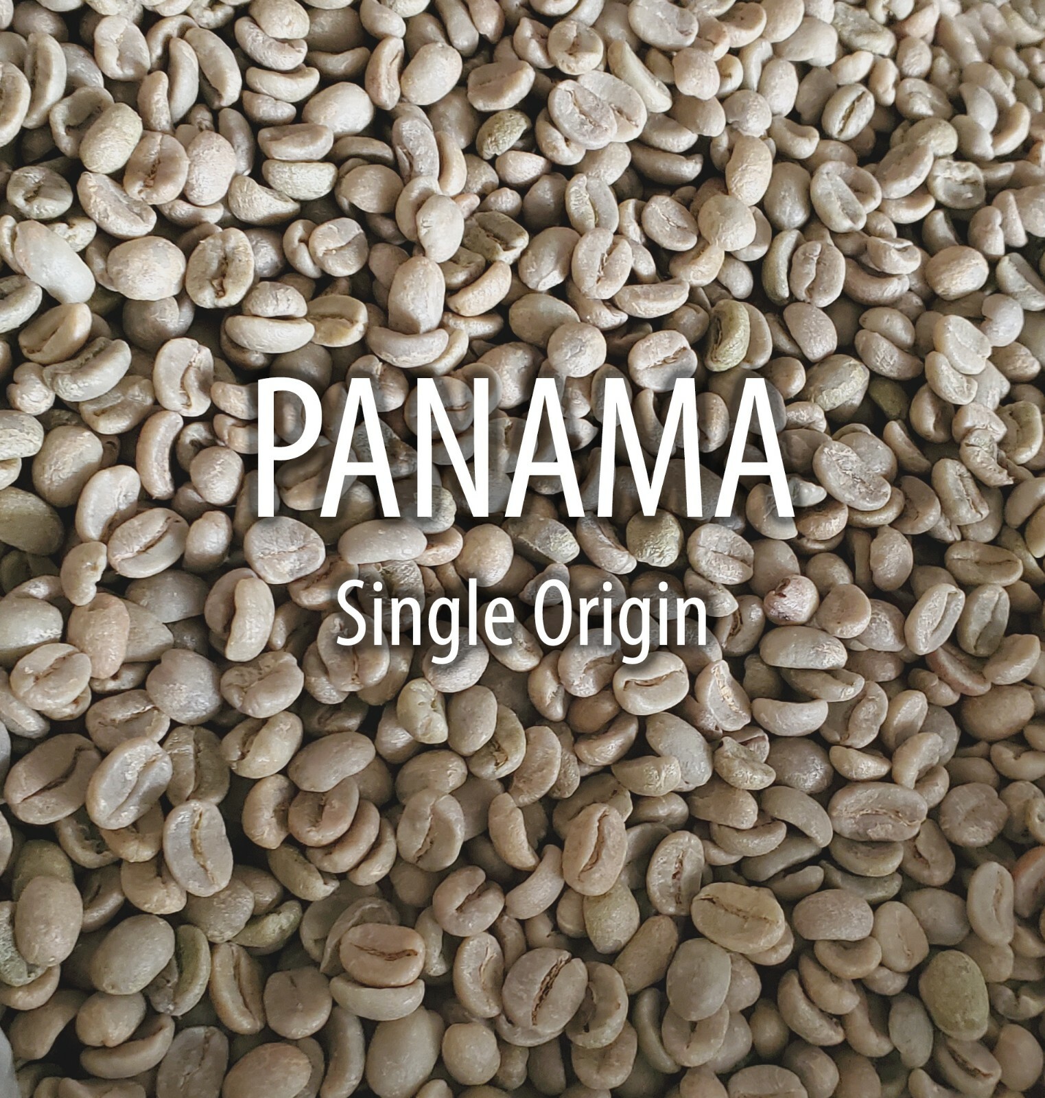 5 LBS PANAMA BOQUETE GREEN UNROASTED COFFEE BEANS – ARABICA