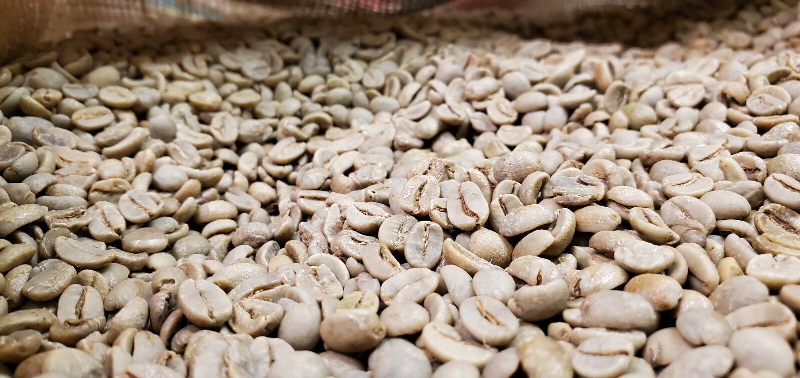 5 LB BRAZIL BRASIL BRAZILIAN UNROASTED GREEN COFFEE BEANS – ARABICA