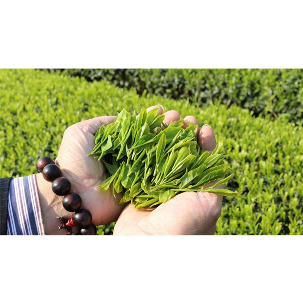 West Lake Longjing Green Tea 100g Premium Spring Antioxidant Loose Tea