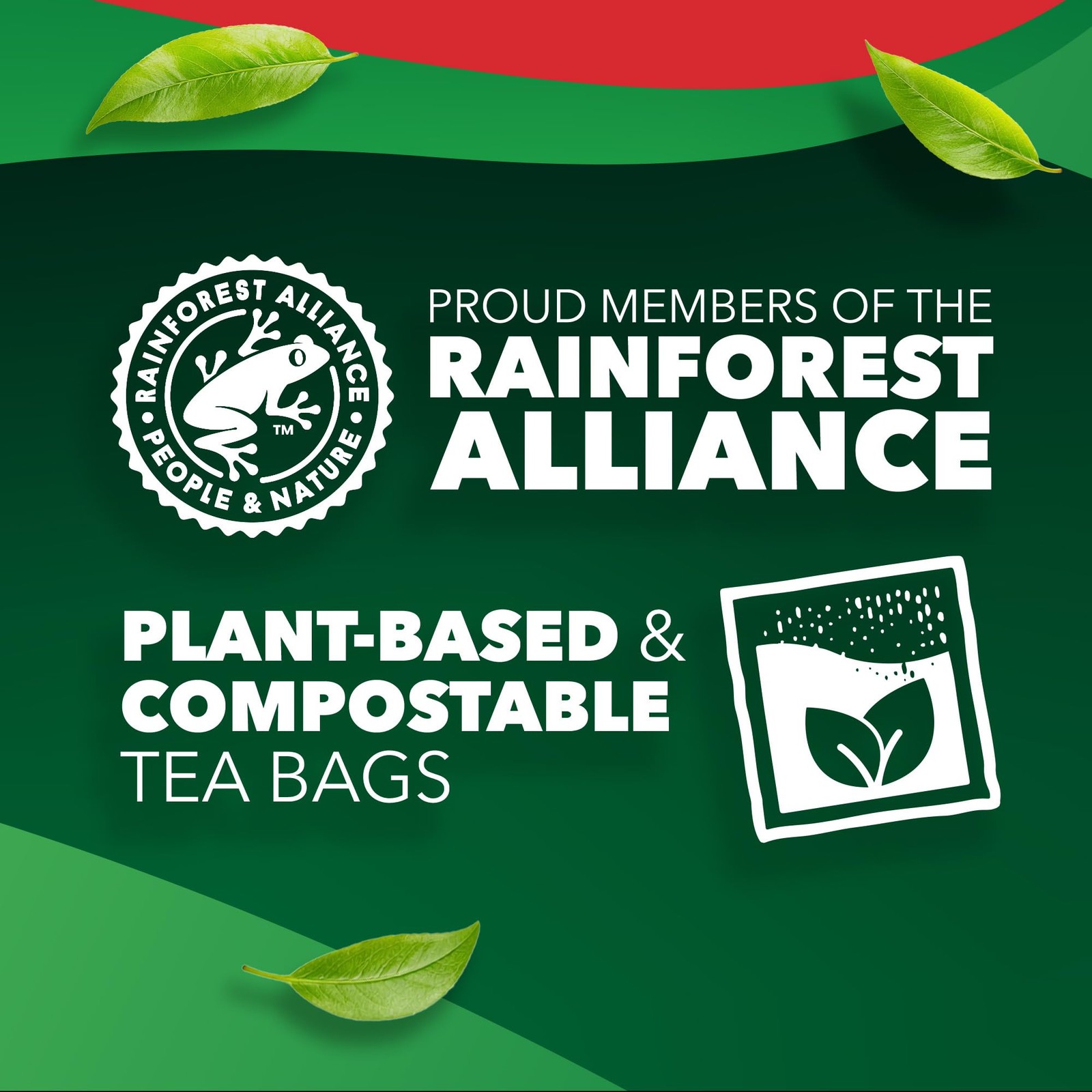 Original Black Tea Bags Bulk Flavourful & Fullbodied Perfect Flavour Release …