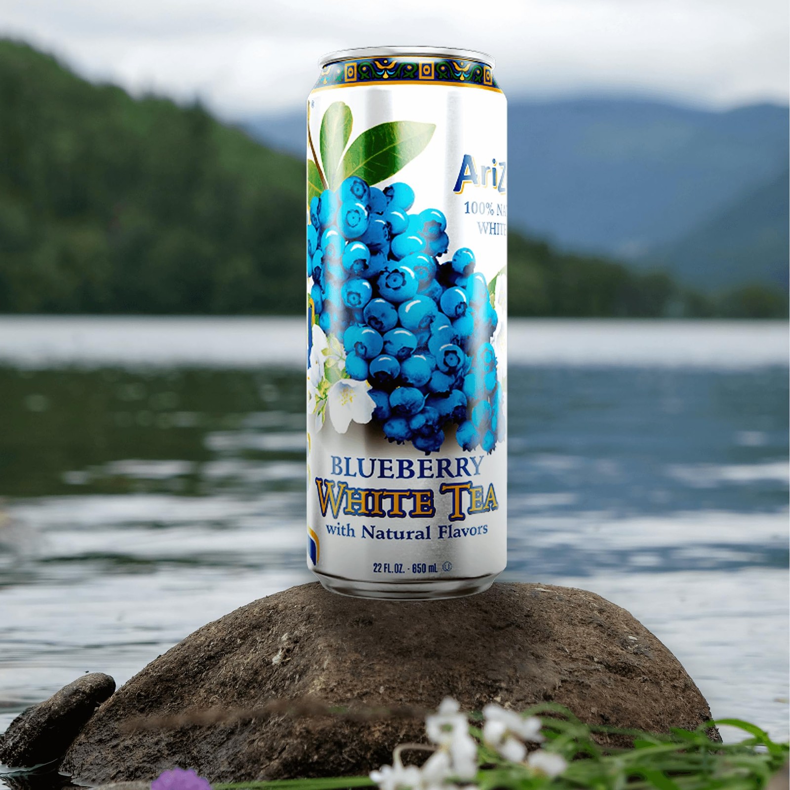 AriZona Blueberry White Tea – Big Can, 22 Fl Oz (12 Pack)