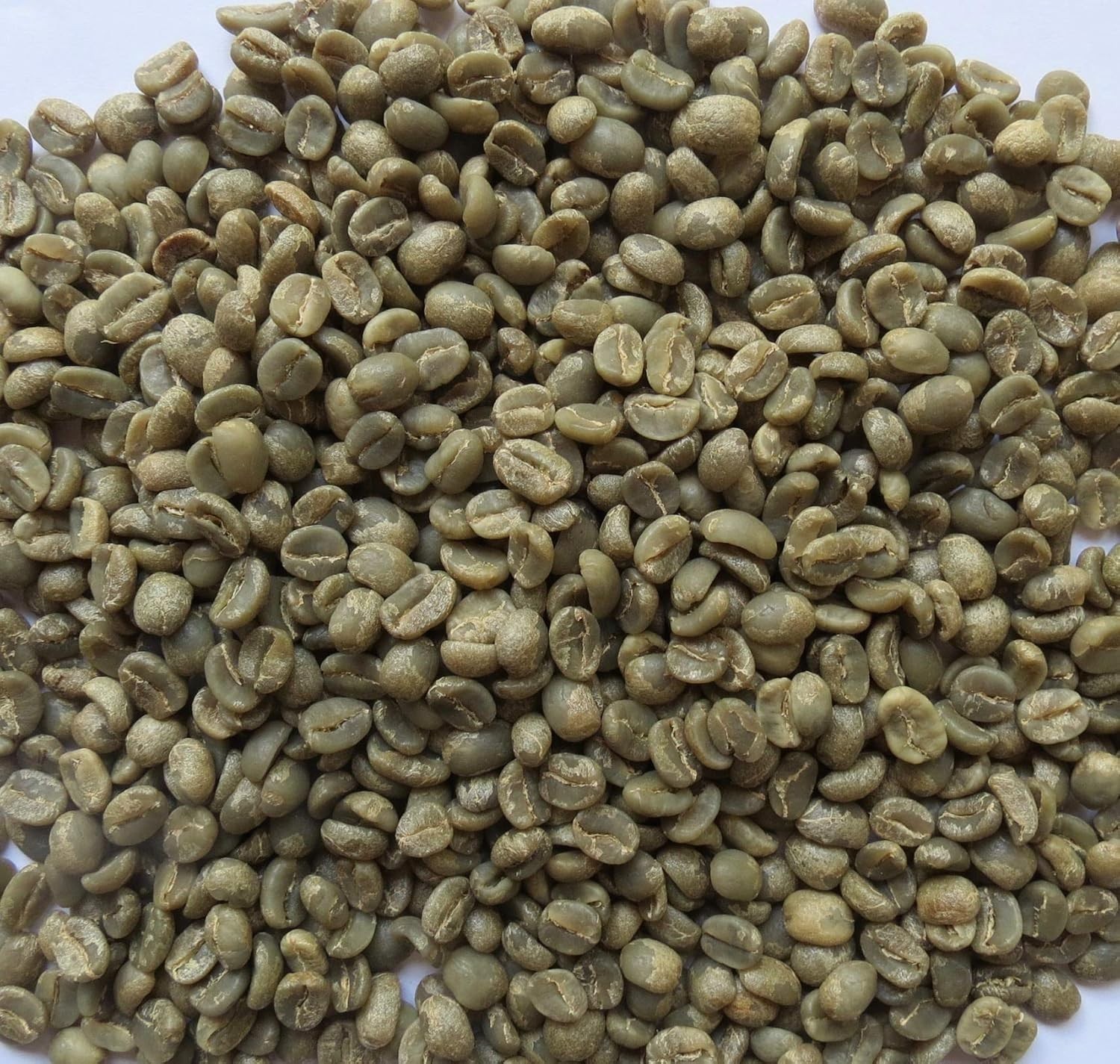 3 Lb Primos Specialty Green Arabica Coffee – Hand-Picked Caturra Variety