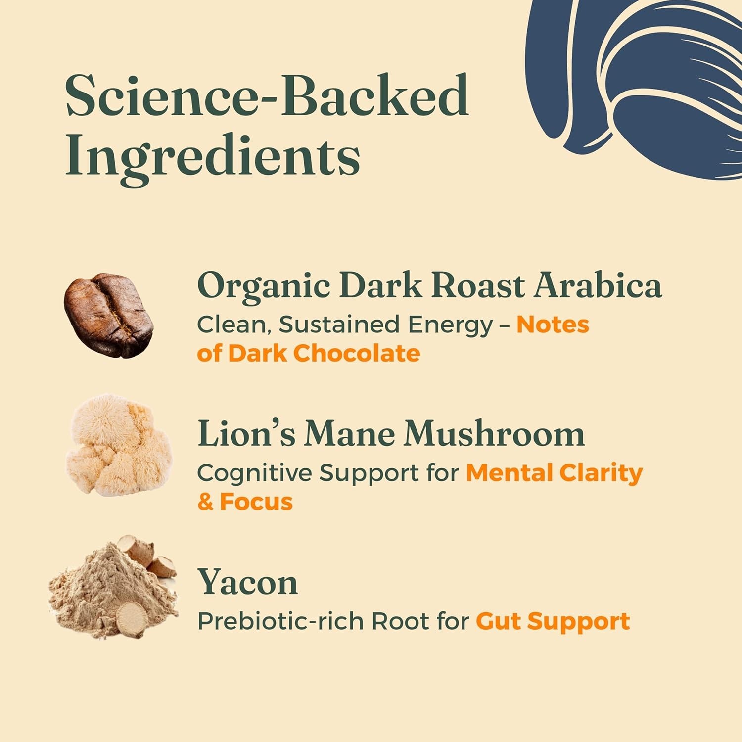 Organic Cold Brew Coffee Grounds | Dark Roast, Coarse Grounds with Lion’s Man…