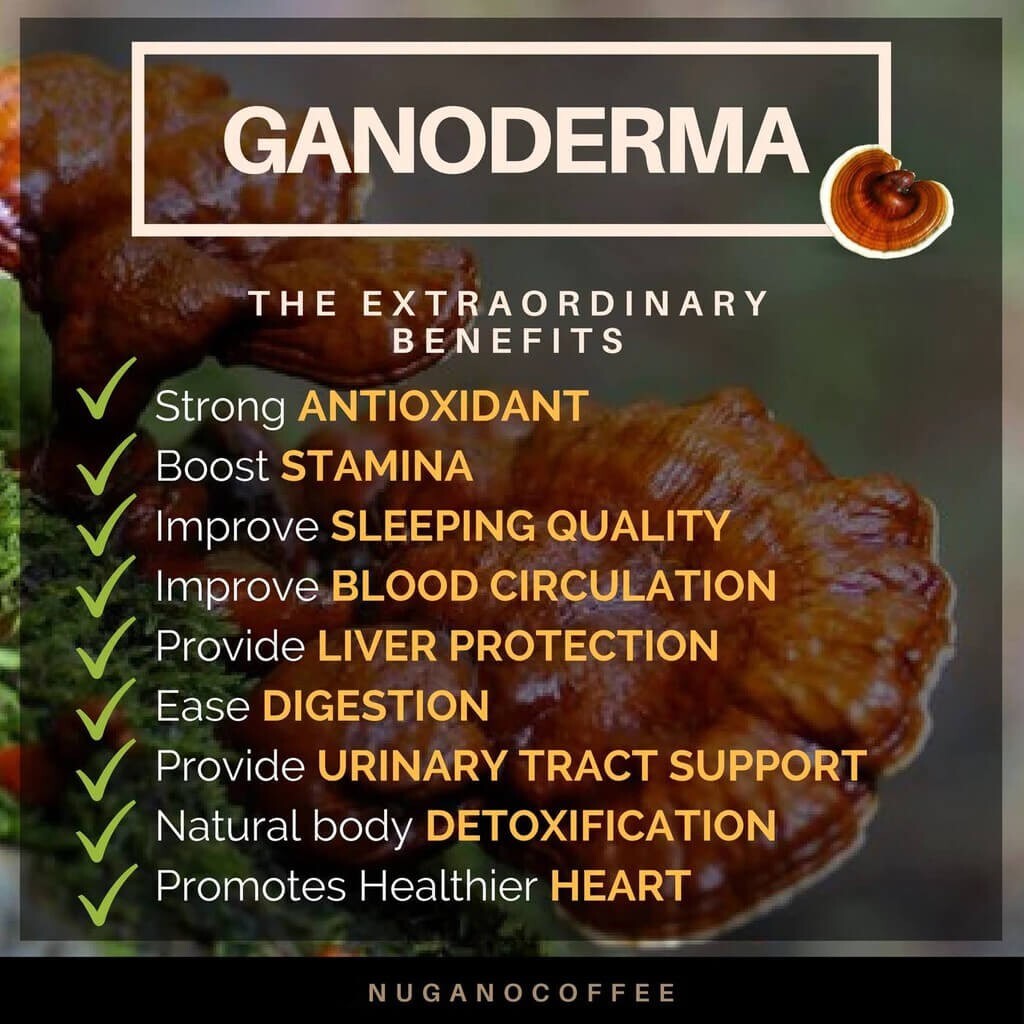10 x Nugano Ganoderma Premium Gourmet Instant Black Reishi Mushroom Coffee