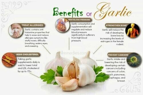 Fenugreek-Garlic Tea Medicinal Drink Organic Natural High Quality Ceylon Produce