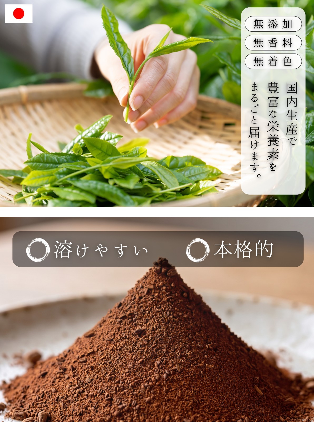Japanese Roasted Green Tea Hojicha Powder Smooth Sweet Cafe Latt 300g from JAPAN