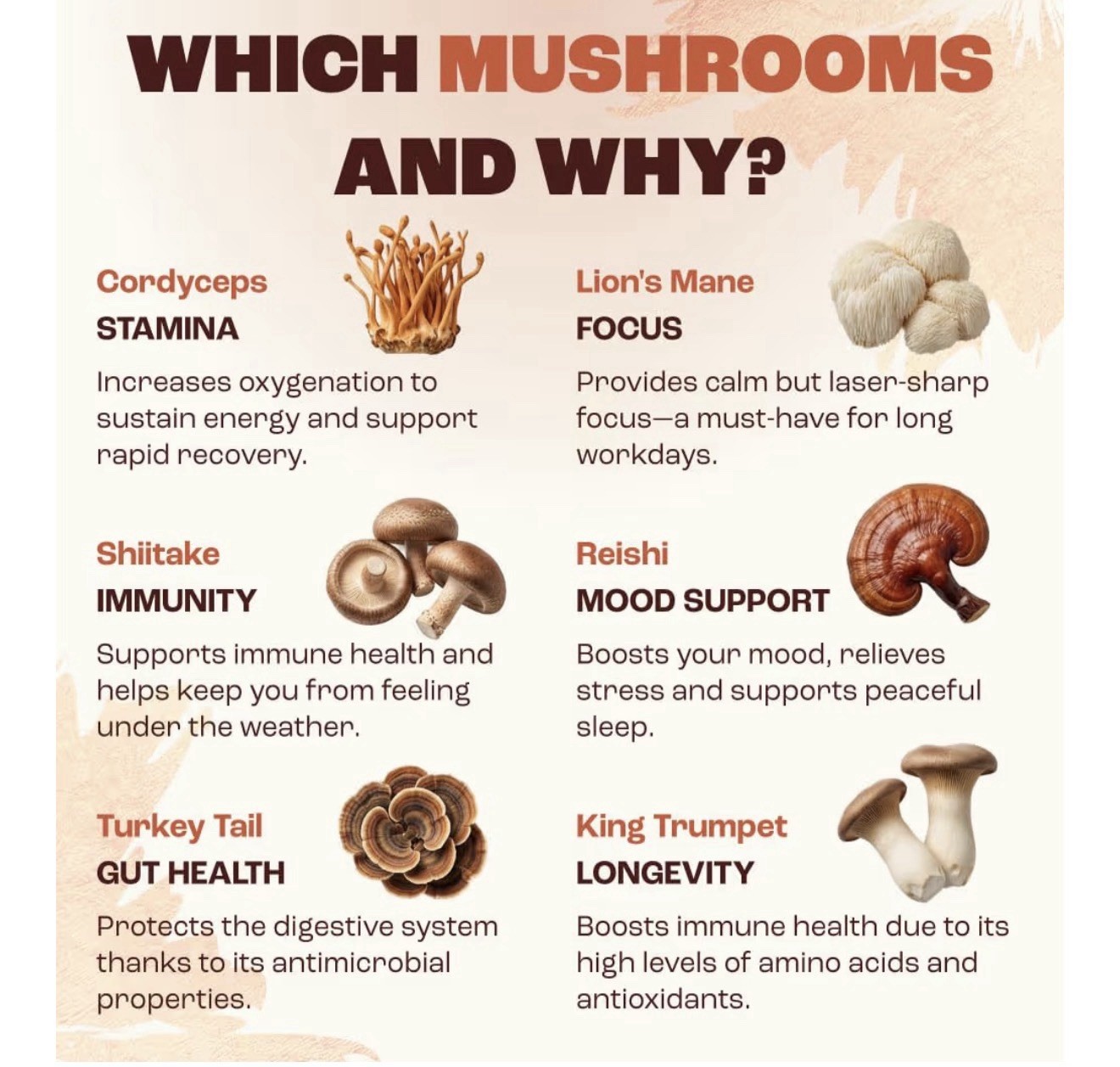 MUSHROOM COFFEE 2 BAGS