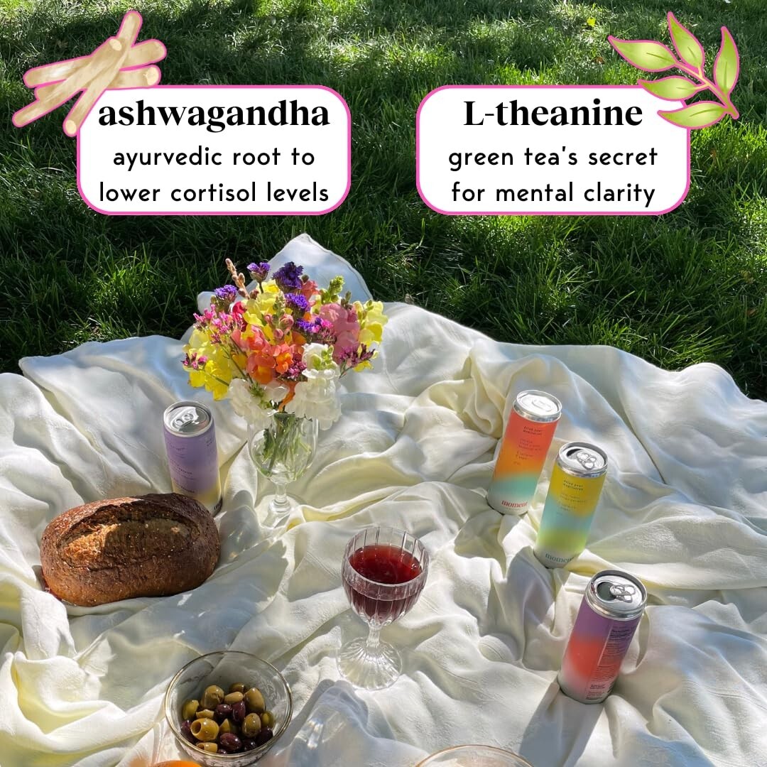 “Moment Botanical Soda – Fruity Sparkling Drinks for Calm, Clarity & Zero Sugar
