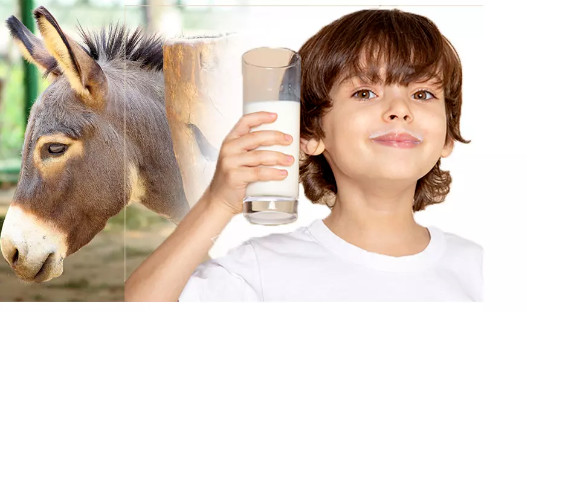 pack of 2 100% NATURAL HERBS DONKEY MILK POWDER FREEZE DRIED 100gm each