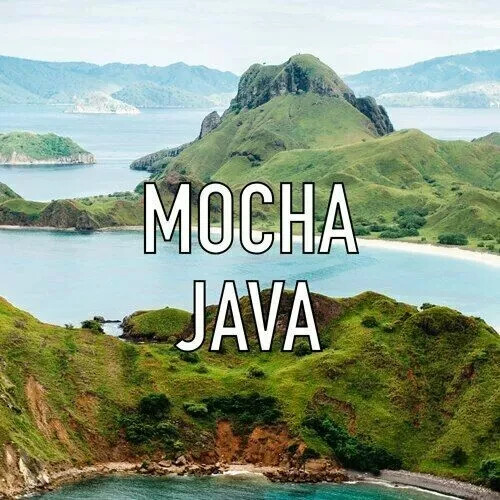 Mocha Java Coffee Beans Roasted Medium & Dark Mixed 2 Bags 1 Pound Each.