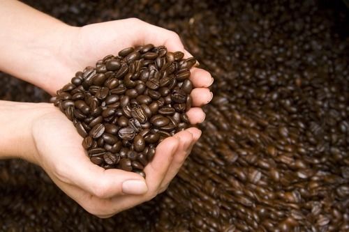Brazilian Yellow Bourbon Coffee Beans, Medium Roasted Daily 2 Bags 1 Pound Each