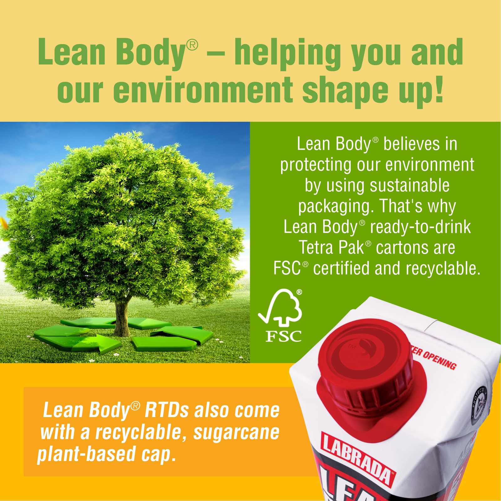 Labrada Lean Body Ready-to-Drink Mint 17 Fl Oz (Pack of 12), Red and White