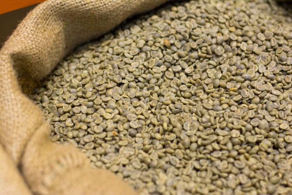 2 POUNDS green coffee beans – your choice of beans – MANY to choose from